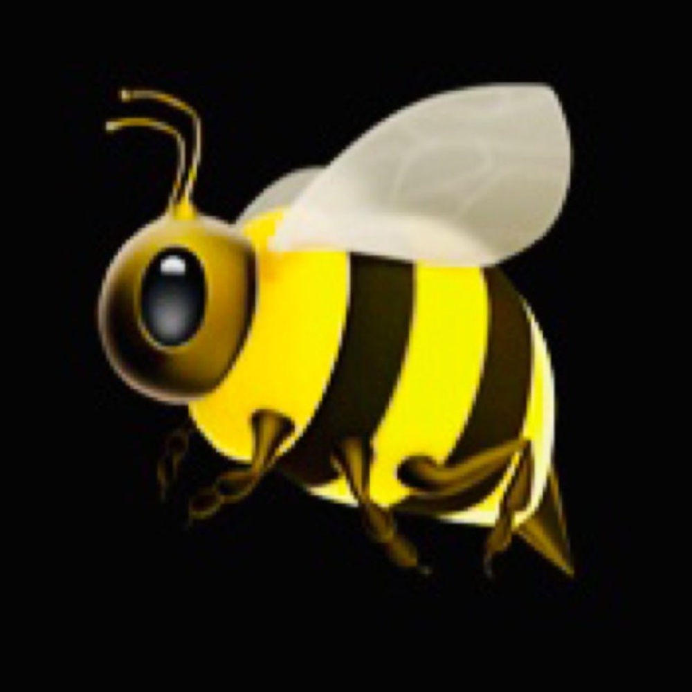 Buzz application tshirt with bumble bee cute shirt